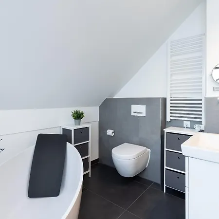 Irish Seeschwalbe Hohenkirchen (Nordwestmecklenburg)