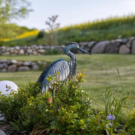 Irish Seeschwalbe Casa vacanze Hohenkirchen (Nordwestmecklenburg)