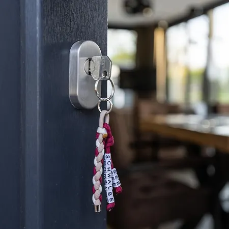 Irish Seeschwalbe * Hohenkirchen (Nordwestmecklenburg)