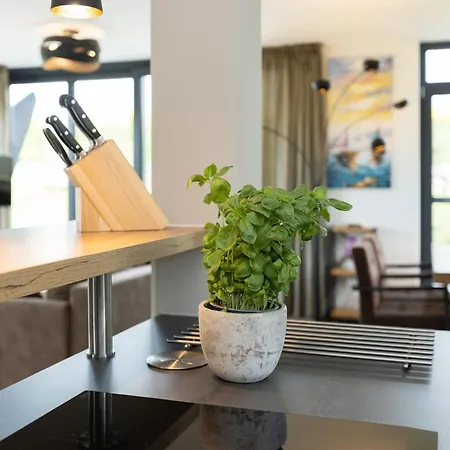 Irish Seeschwalbe Holiday home